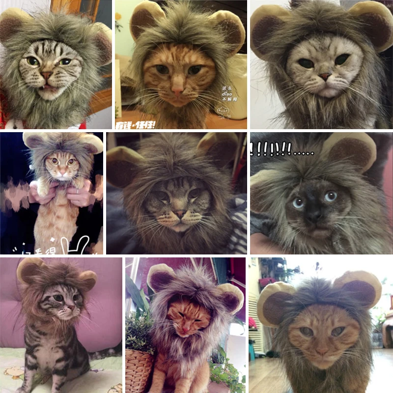 Hoopet-Pet-Cat-Costume-Clothes-Cap-Funny-Hat-Lion-Mane-Wig-Hat-Party-Cosplay-Accessory-Out (2)