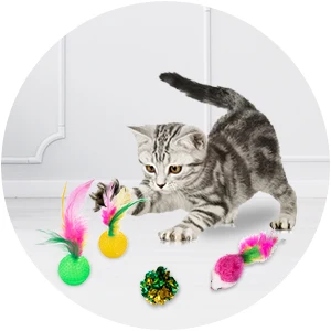 Kitten Toys Variety Pack-Pet Cat Toy Combination Set Cat Toy Funny Cat Stick Sisal Mouse Bell Ball Cat Supplies 20/21 Piece Set