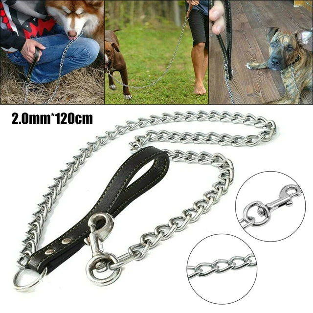 Laisse pour chien avec poignée rembourrée corde anti-traction pour chiens  de taille moyenne