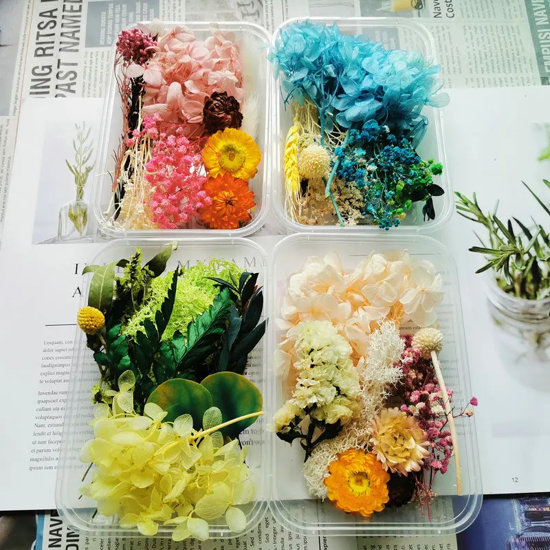 1 коробка Натуральные Сушеные Цветочные сухие растения для DIY эпоксидная смола