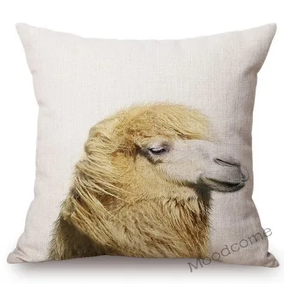 conew_t215 (4) 副本