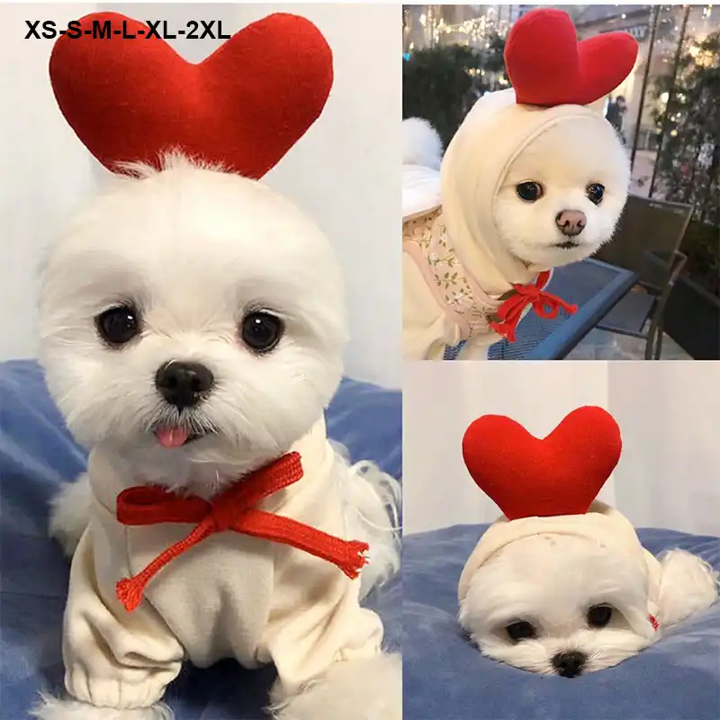 中 大型犬フルーツ子犬猫セーターファッション犬パーカー冬のペットの犬服スポーツスタイルのペットの犬服tslm1 犬用パーカー Aliexpress