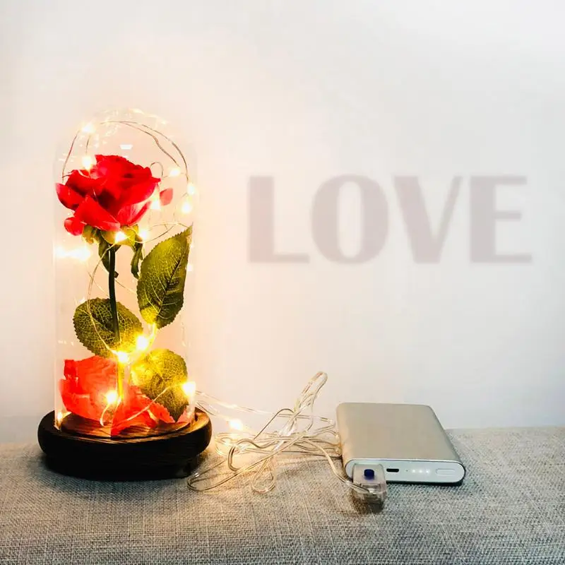 USB 8 режимов 20LED деревянная основа ночные огни роза цветочный стеклянный куполообразный медный провод сказочные гирлянды Валентина свадебное украшение