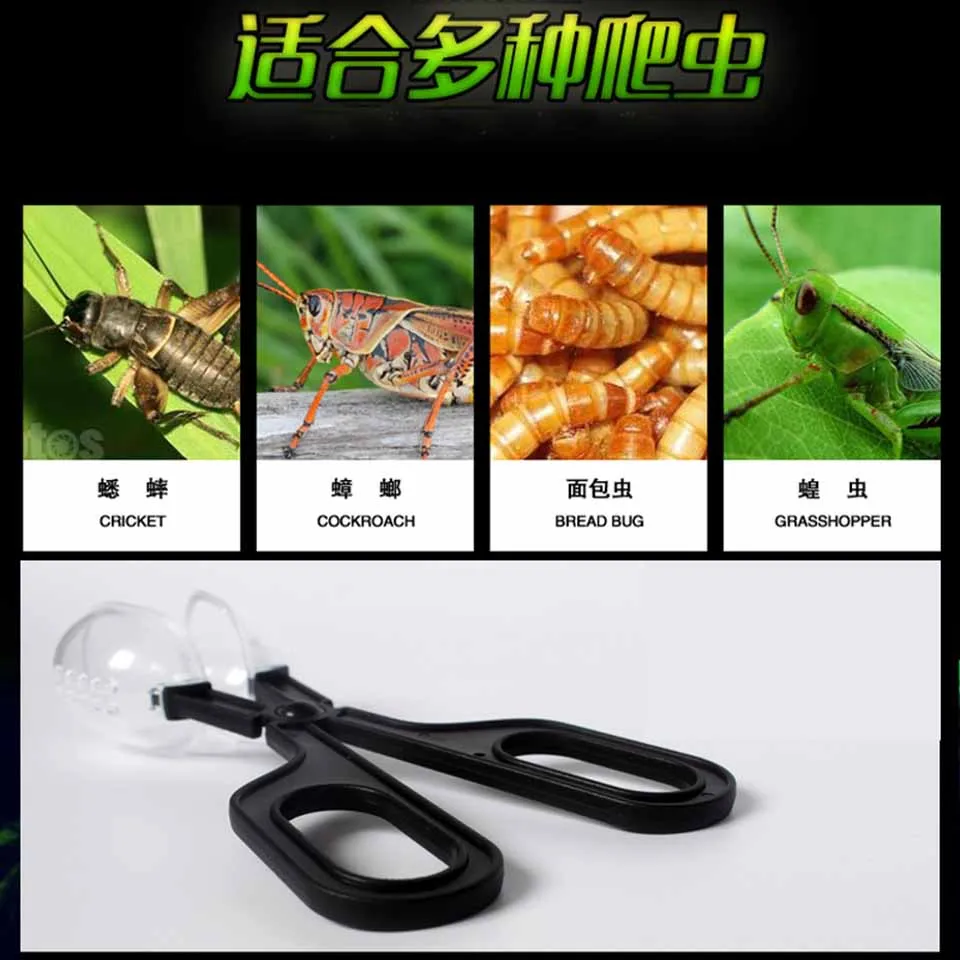 Pet Clip Barley Reptile Insect Bread Insect Culture Insect Feeding Cleaning Clip Manure Plastic Clip