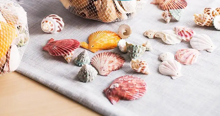 Модные ракушки аквариумные украшения натуральные морские раковины для изготовления ювелирных изделий Conchas Naturais кукурузный винт DIY Caft Настенный декор