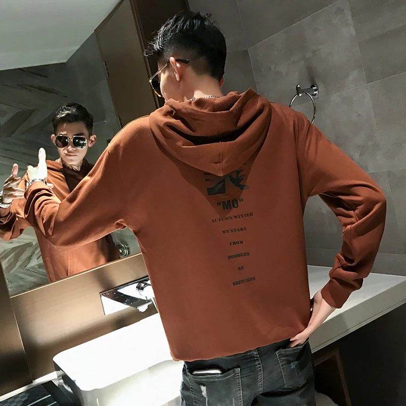 Весна Осень 2019 новый свободный свитер с капюшоном и принтом сзади модный