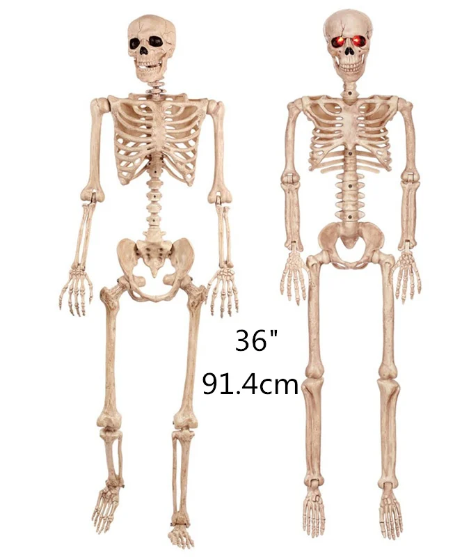 Hot Human Skeletons Skull Full Body Halloween Skeleton Cosplay Accessories for Home Bar Party Decoration | Дом и сад
