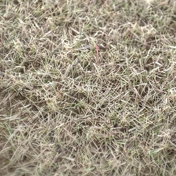 Premium 3mm Blended Season Static Grass - Perfect for Model Railway and Miniature Landscapes (Withered Grass)