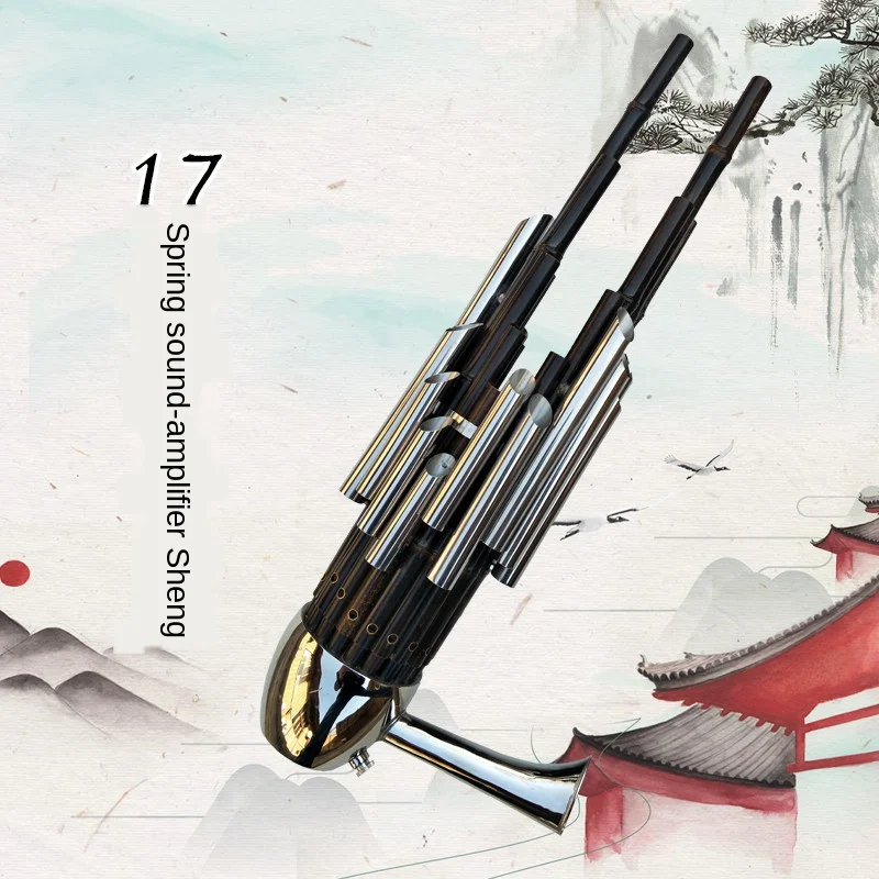 17 Spring Cegd Tune National Musical Instrument Sheng Professional Adult Children Beginner