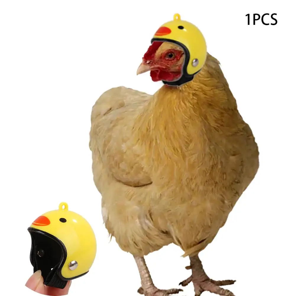 2019 New Innovation Fashion Chicken Helmet Fun Pattern Small font b Pet b font Helmet Bird