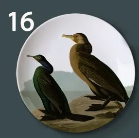 V John Audubon декоративная тарелка Америка птицы коллекция блюдо иллюстрация настенная подвесная декоративная тарелка фоновое украшение - Цвет: V