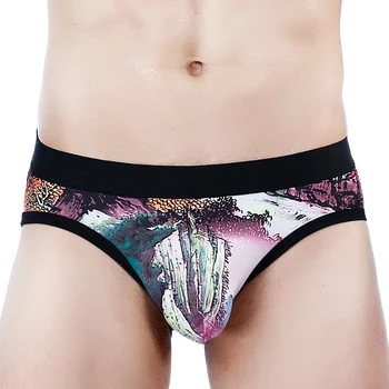 

1/2pcs Men Briefs Sexy Low Rise Stretchy Briefs Bikini Underwear Male Print Fashion Underpants Breathable