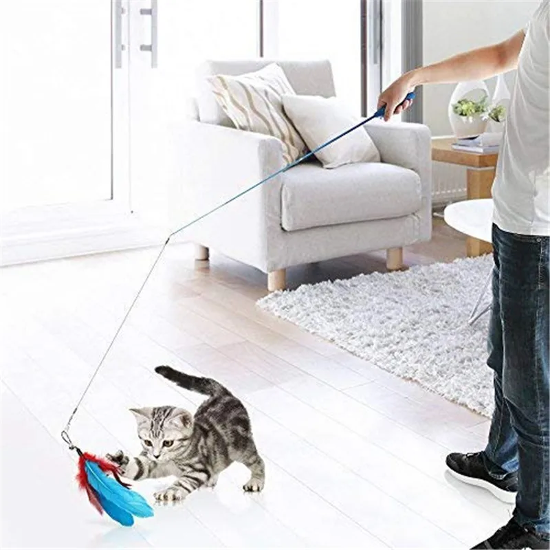 Interactive Pet Cat Playing Sticks Feather Toy with Replace Head Fishing Rod Shaped Cat Tracing Toys Supplies