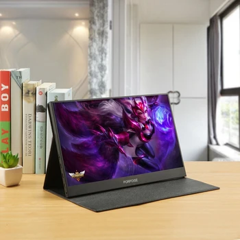 

17.3 Inch Super-Ultra Portable Monitor for HDMI PS3 PS4 PC 1920 x 1080P IPS Sn USB Display with Folding Holder