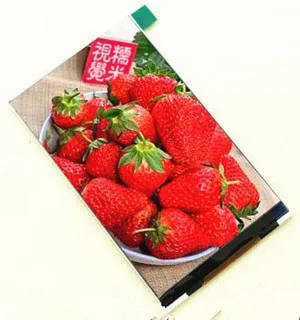 

CPT 4.0 inch 44PIN TFT LCD Screen ILI9806 Drive IC 800*480 WVGA CPU Interface