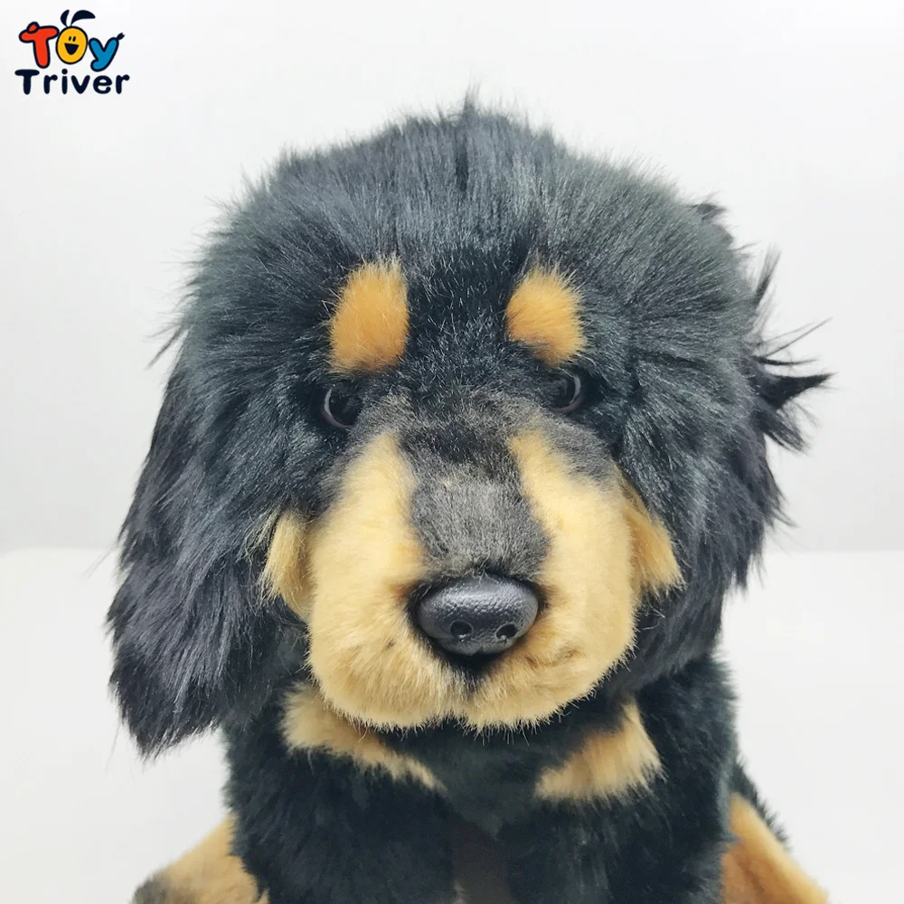 子供と大人のためのリアルなベティマフぬいぐるみ 黒の犬のぬいぐるみ 動物のぬいぐるみ 誕生日プレゼント 家の装飾 Null Aliexpress