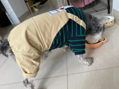 O1CN012PPPYQ2GJlC9AgKWF_!!0-rate.jpg_400x400