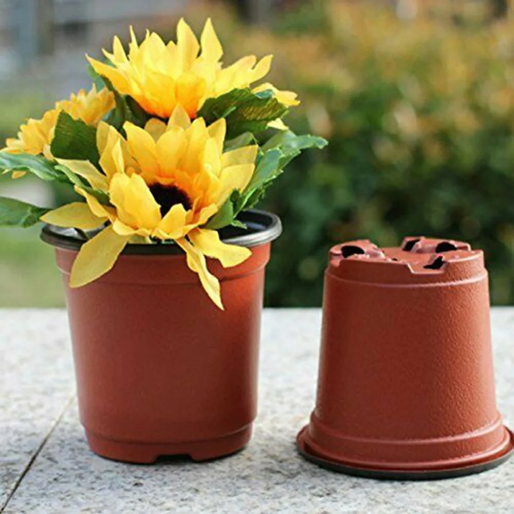 CQY200421585_0508498302018926800