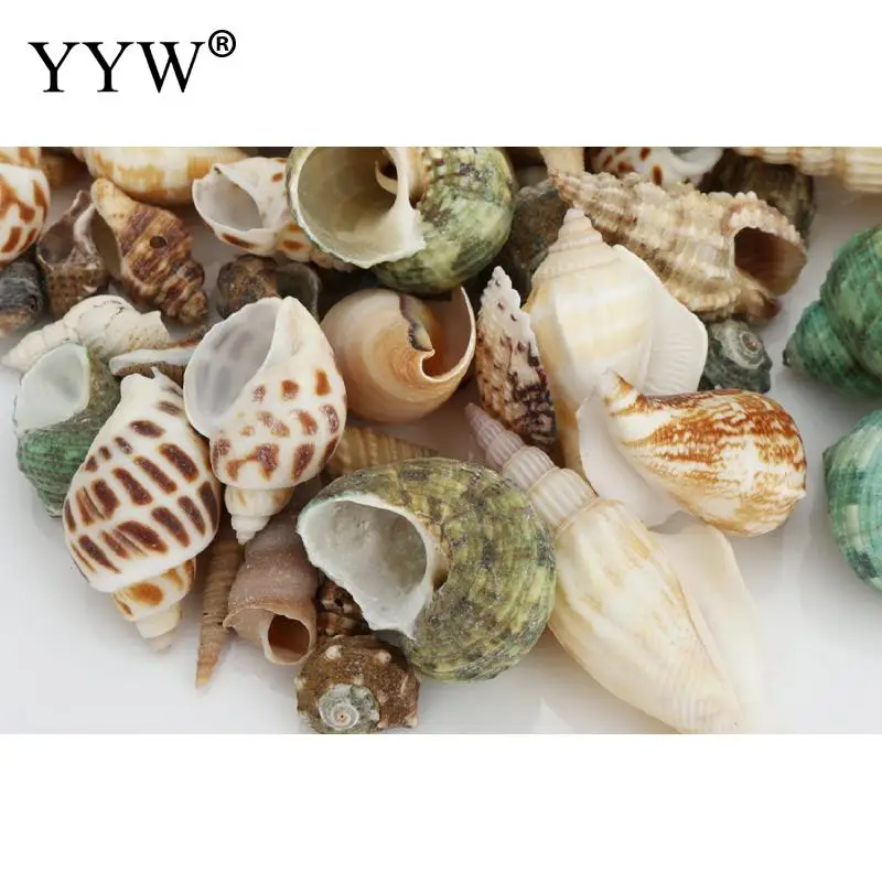 100 шт./пакет Разноцветные морские раковины Schelpen Coquillage Conchas Shell для украшения дома Вавилон морской домашний Морской Декор