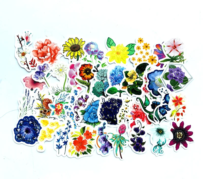 11936053051_413955102