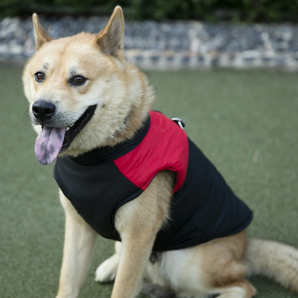 Зимняя одежда для собак и щенков, жилет на молнии, футболка, повседневная куртка с пряжкой