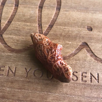 

Natural stone raw agate Silk Road Collectibles unique collection