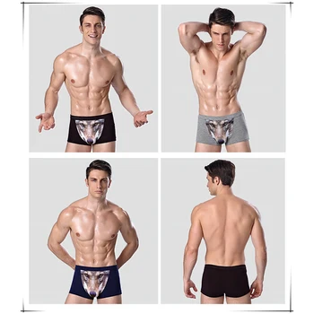 

Raisevern Wolf Eagle 3D Print Briefs Underwear Mens Boxers Modal Underwear Sexy Male Panties Comfortable Breathable Underpants