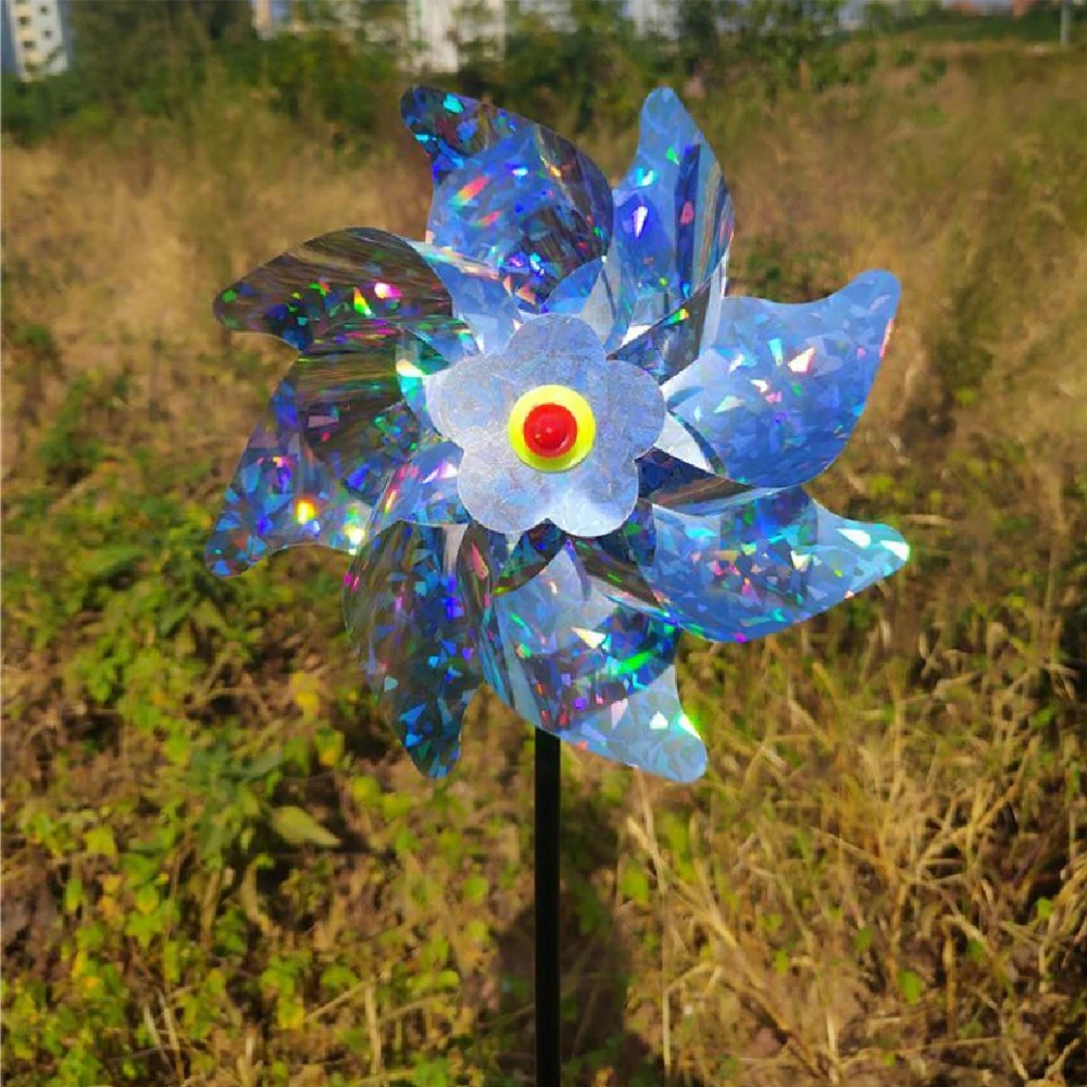 478869_66d3831aa2b04926854f458a29fa58ea