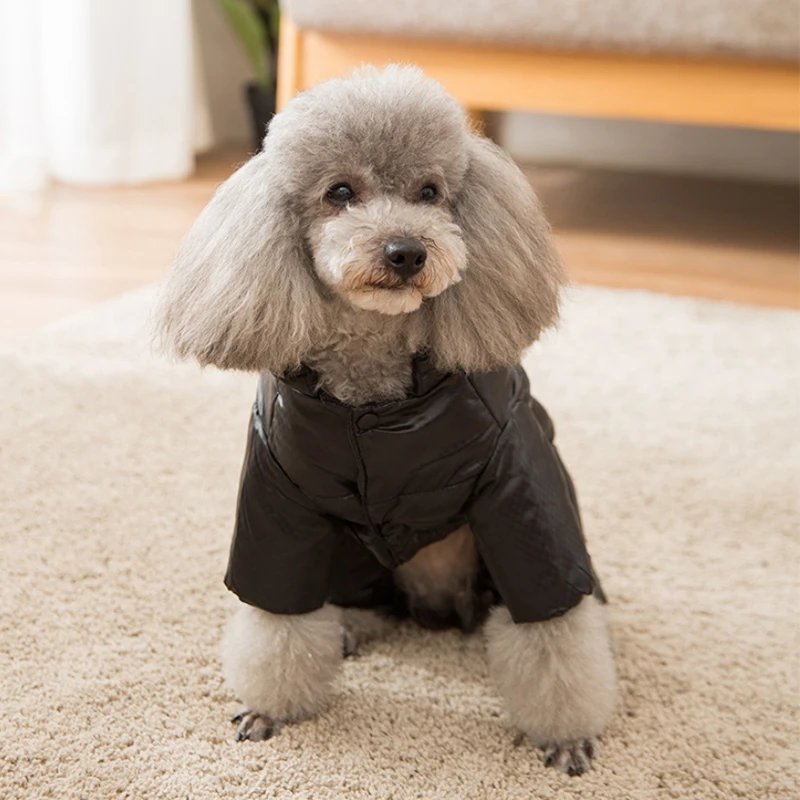 Одежда для собак, комбинезон, уплотненная зимняя теплая куртка для питомца, для маленьких собак, чихуахуа, французская одежда для бульдога, Комбинезоны