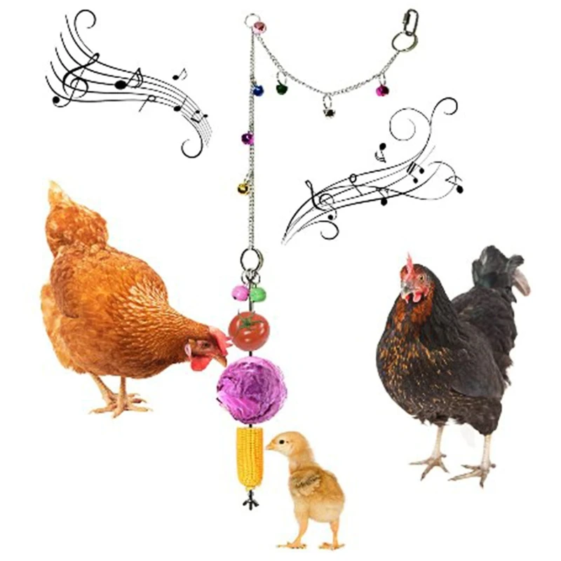 

Stainless Steel Bird Hanging Food Holder Parrot Fruit Vegetable Feeder Chain Meat Skewer Foraging Toys for Parrot Hen