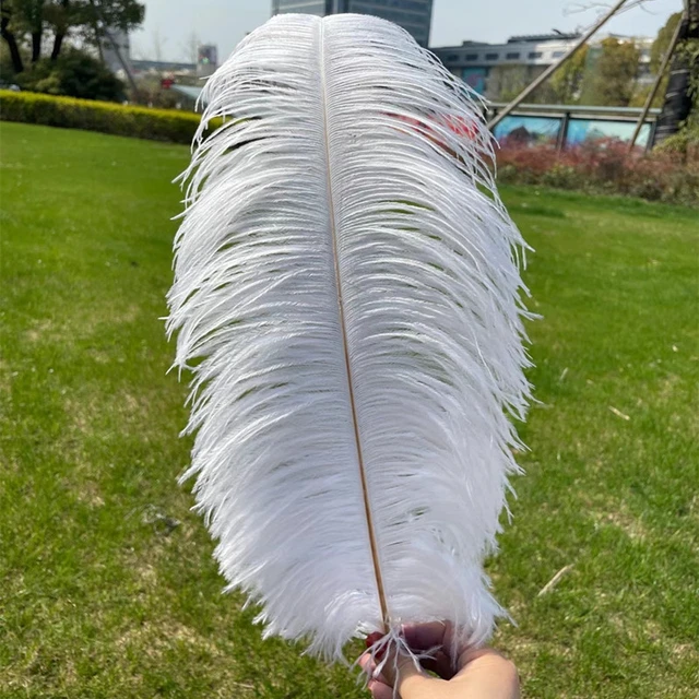 10 pcs Feathers Fluffy Ostrich Feathers 30-55cm Large Feathers For Wedding  Party Center Pieces Decoration