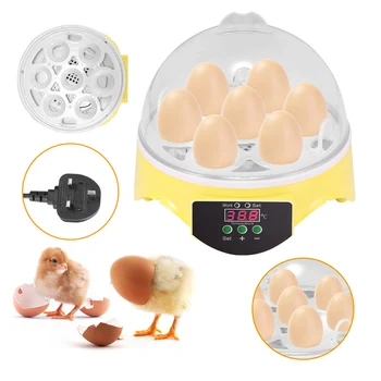 

Chicken Eggs Incubator Automatic Digital Egg Incubator 7 Eggs Mini Poultry Chicken Duck Incubator