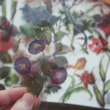 

38pcs Oil Painting Flower Style Transparent Sticker Scrapbooking DIY Gift Packing Label Gift Decoration Tag