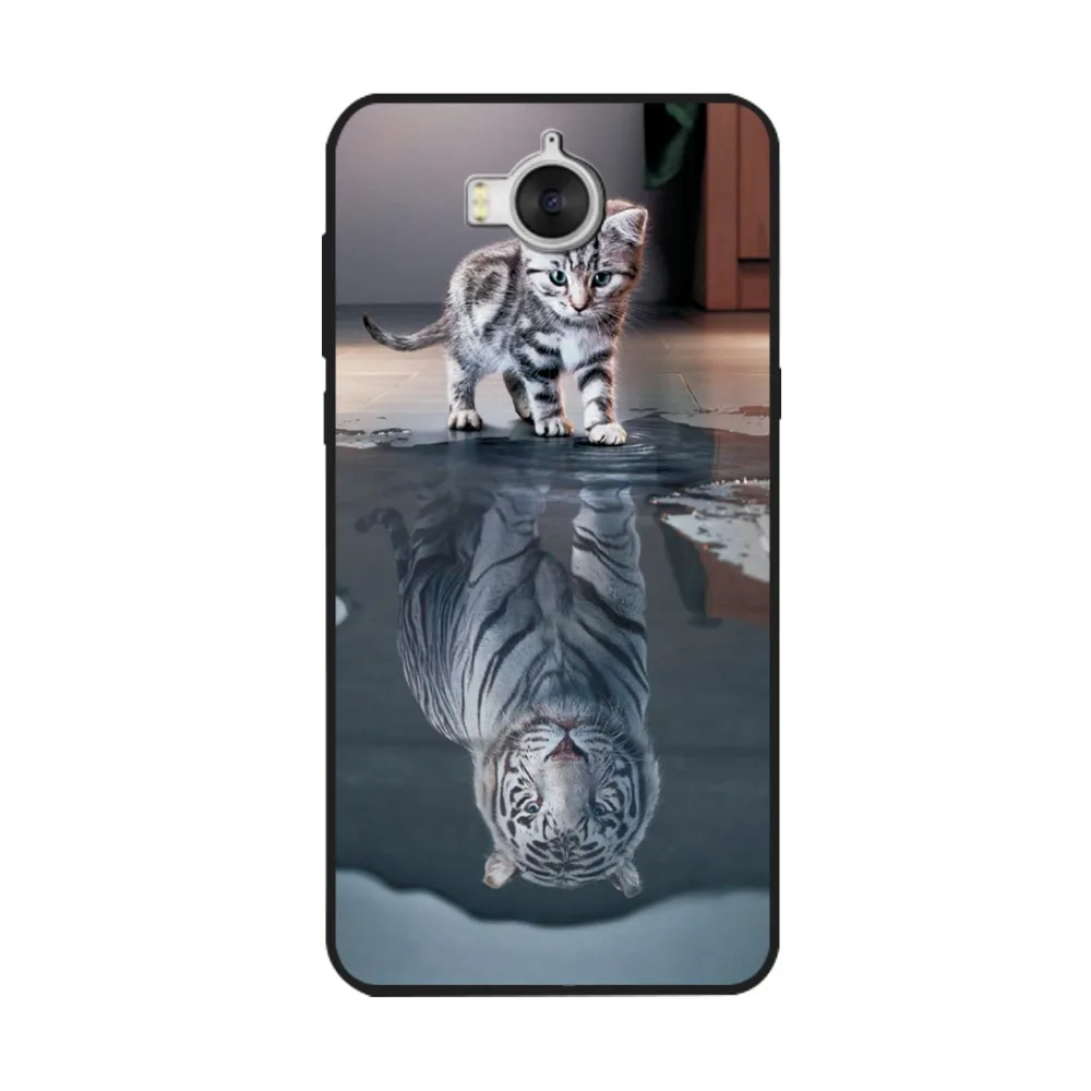 29