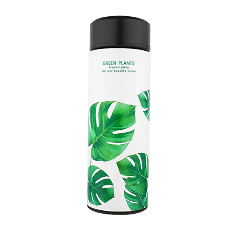 CreativeThermos Студенческая чашка пара cupThermos чашка кофе чай молоко дорожная кружка термо бутылка подарки термо чашка Fask зеленая чашка для растений