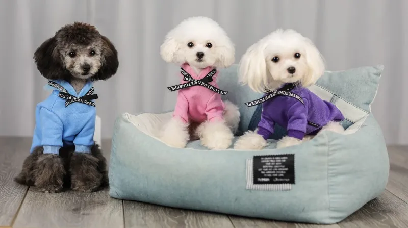 dog fashion hoodies for puppies (5)