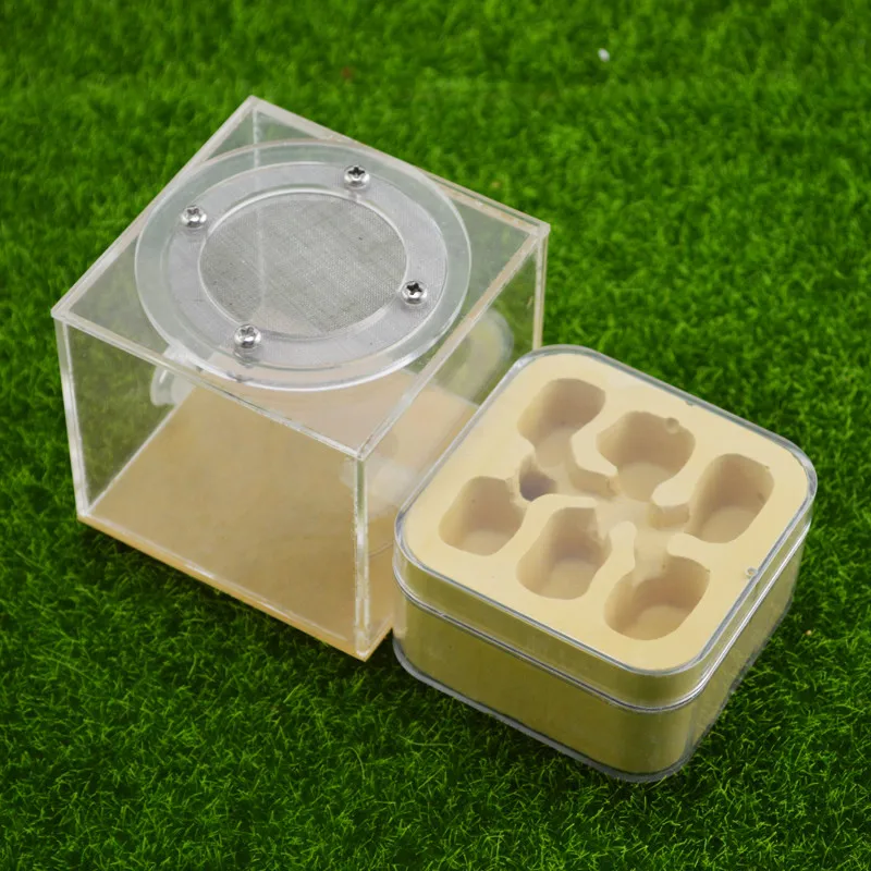 Plaster Ant Nest Acrylic Ant Farm Ants Queen House Insect Cage Anthills Pet Ant House Granja De Hormigas Hormiguero (3)