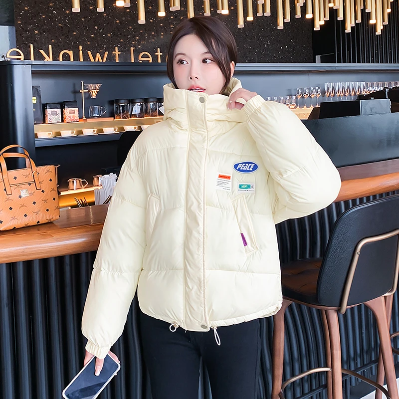 

Куртка женская зимняя, теплая, с воротником-стойкой, свободная, с хлопковой подкладкой, размера плюс