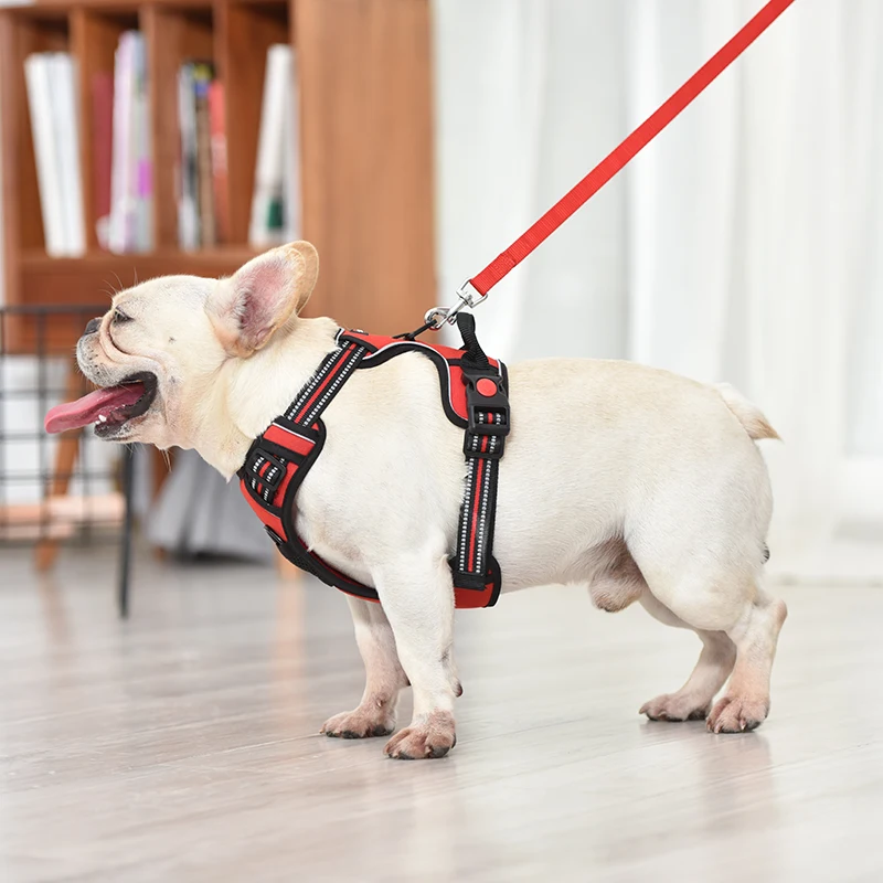 Ha25d4828dbd846c98b0b806628daa2c9J