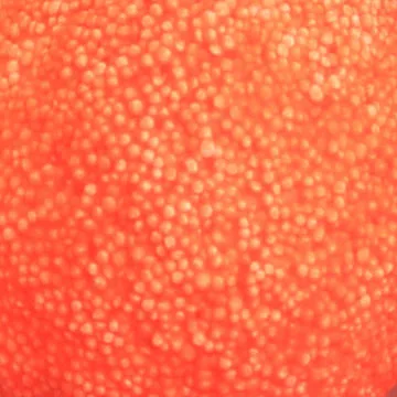 DIY Slime мягкая глина Снежная грязь 50 г бумажная глина мягкая бумага Пластилин принадлежности Slimes пушистый клей обучающая игрушка для детей подарок - Цвет: Небесно-голубой