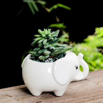 

Simple Outdoor Gardening Creative Succulent Elephant Flower Pot Ceramic Flower Pot Desktop Potted Home Decor