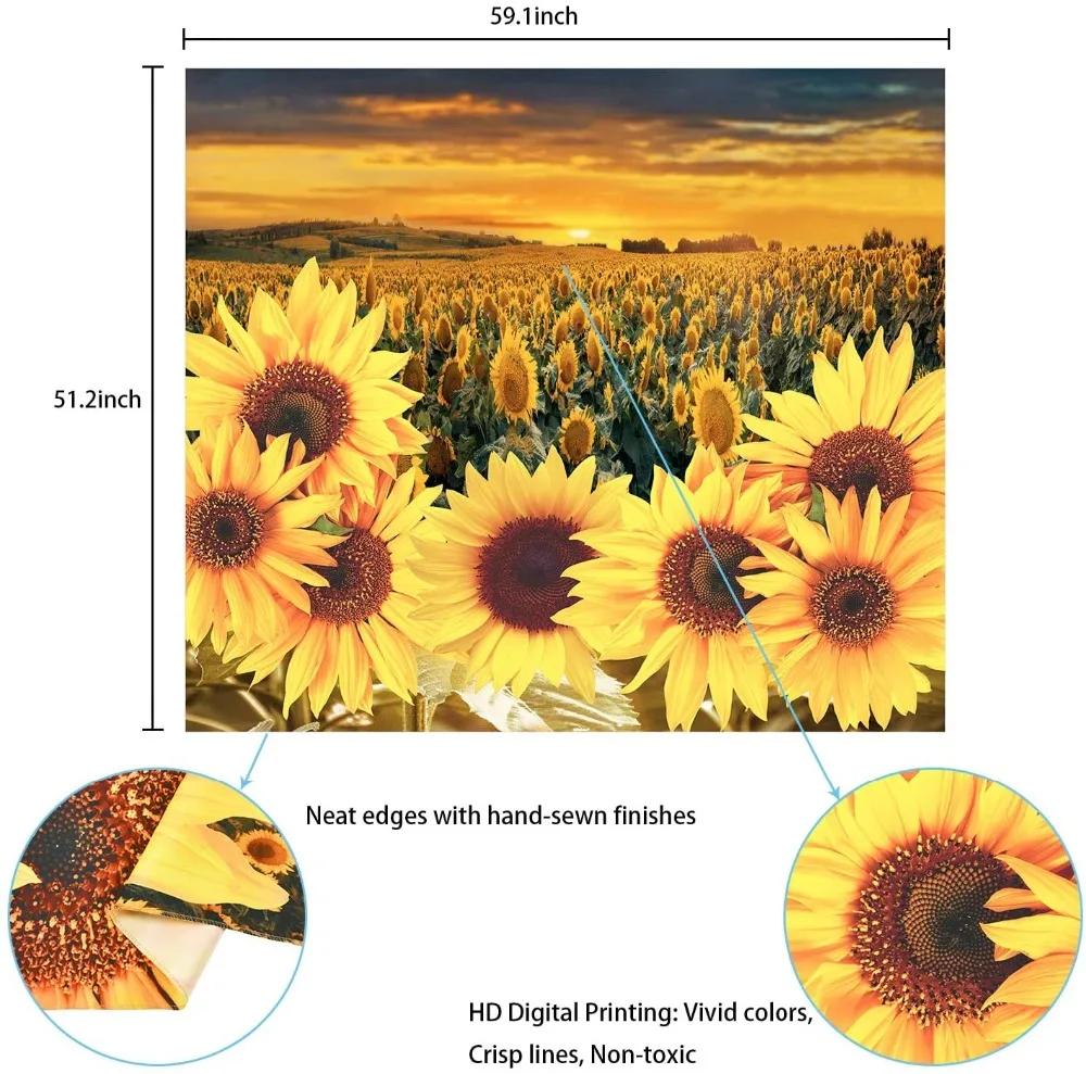 81detqB5JVL._AC_SL1500_