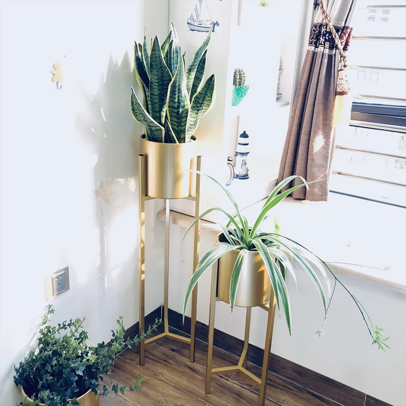 

Simplicity Flower Airs Golden European Style Modern A Living Room Indoor Landing Type Green Luo Metal Flowerpot Planting Frame