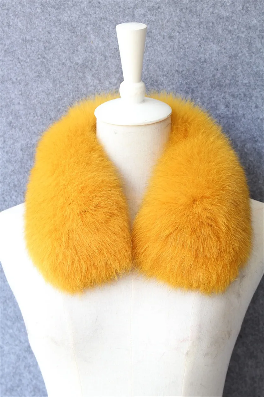 4428599929_510720110