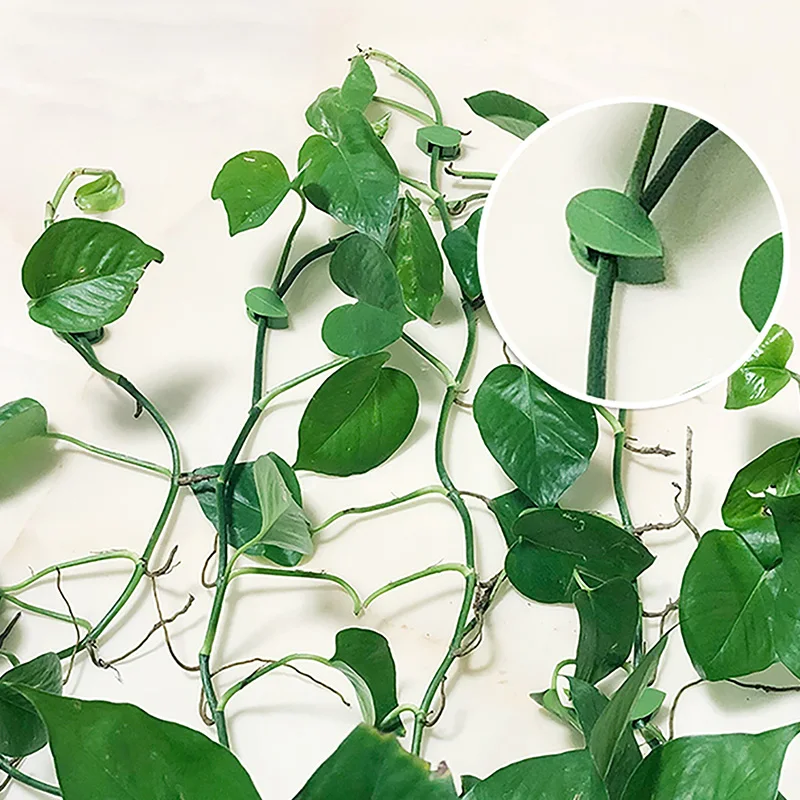 Plant Clips 10pcs Leaves Wall Vine Flower Vegetables Plant Holder