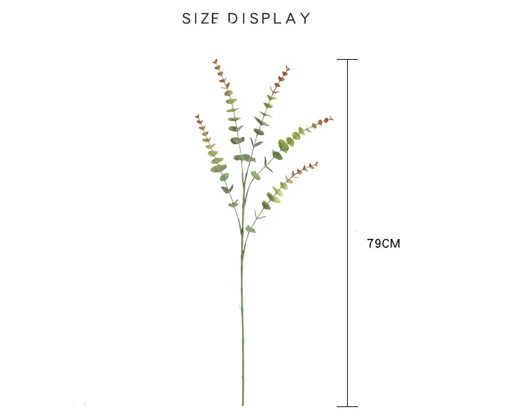 10865020136_1245478559