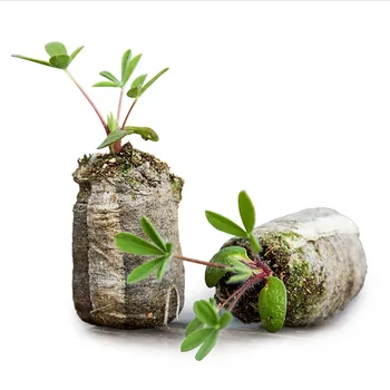 

5pcs 30mm Jiffy Peat Pellets Seed Starting Plugs Seeds Starter Pallet Seedling Soil Block Round Plant Tool Home Garden