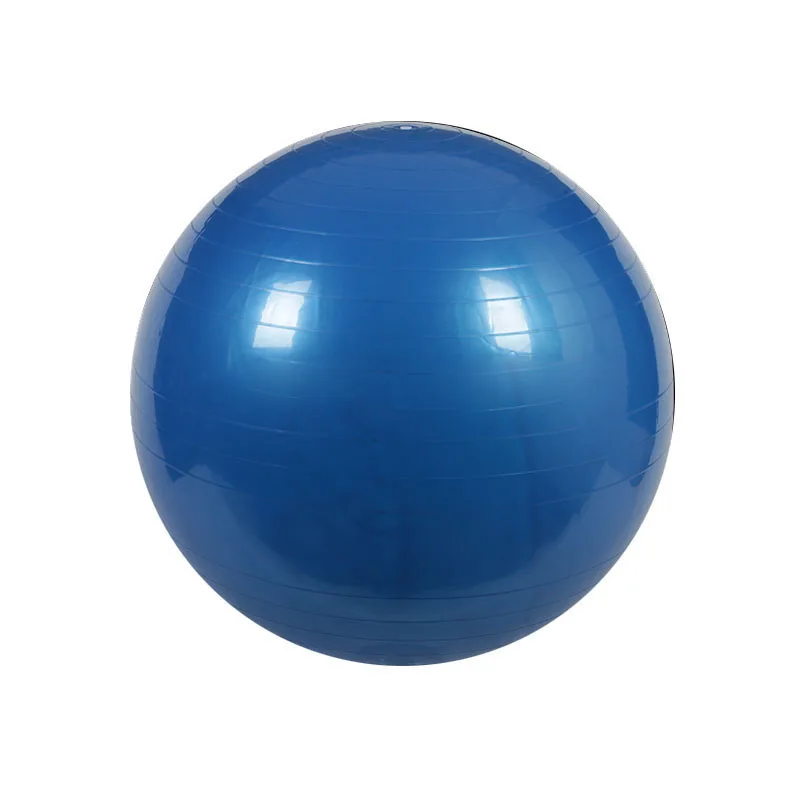 55cm Yoga Balls Fitness Utility Yoga Balls Pilates Balance Sport Fitball Proof Anti-slip for Fitness Train