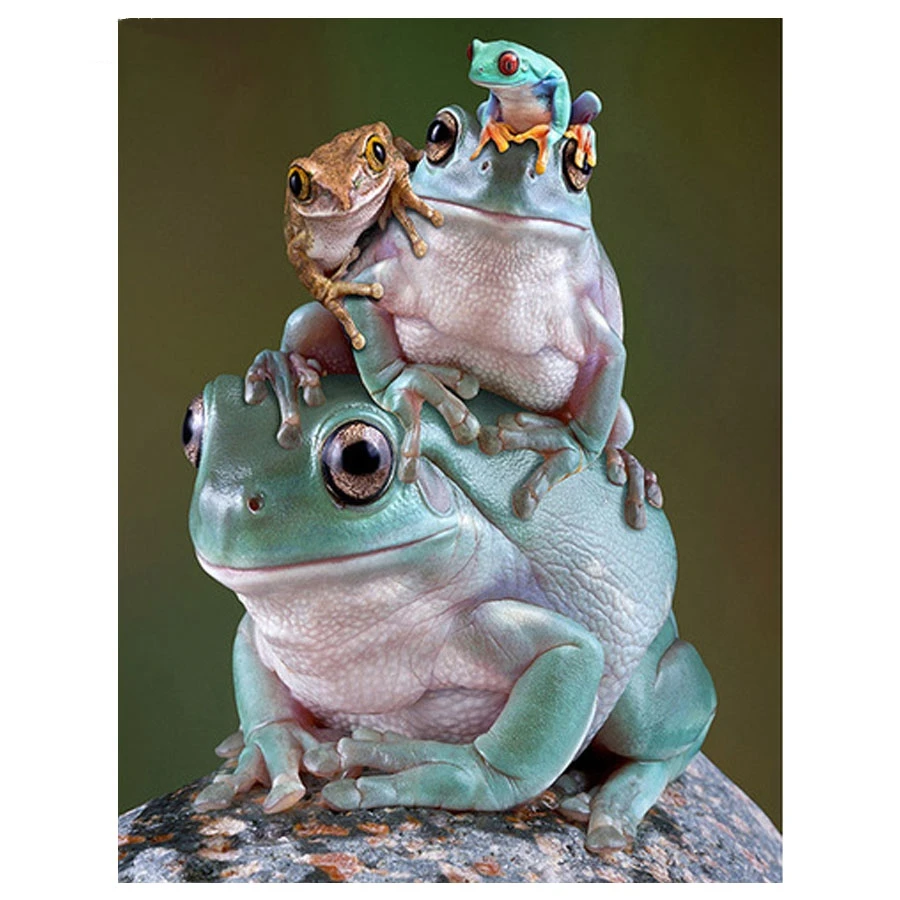 Hobby 5D DIY Diamond Painting frog Full Square round Diamond Embroidery Animal Mosaic Picture Of Rhinestone Kids Room Decoration_副本