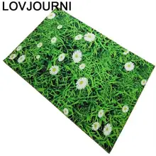 Кухня Tapete Fille Tappeti Cucina Tapis Enfant Chambre Karpetten En Vloerkleden килим области гостиной для спальни пол ковер